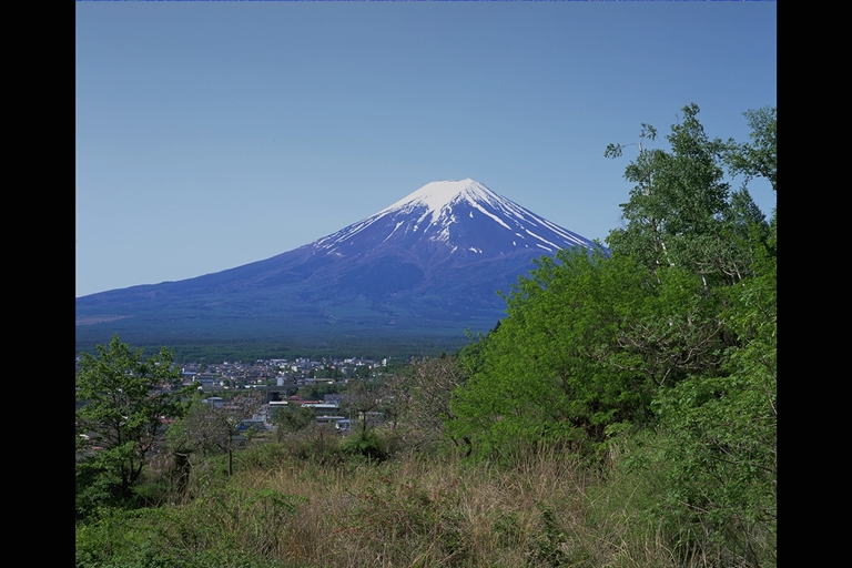 富士山 フジサン FUJISAN
